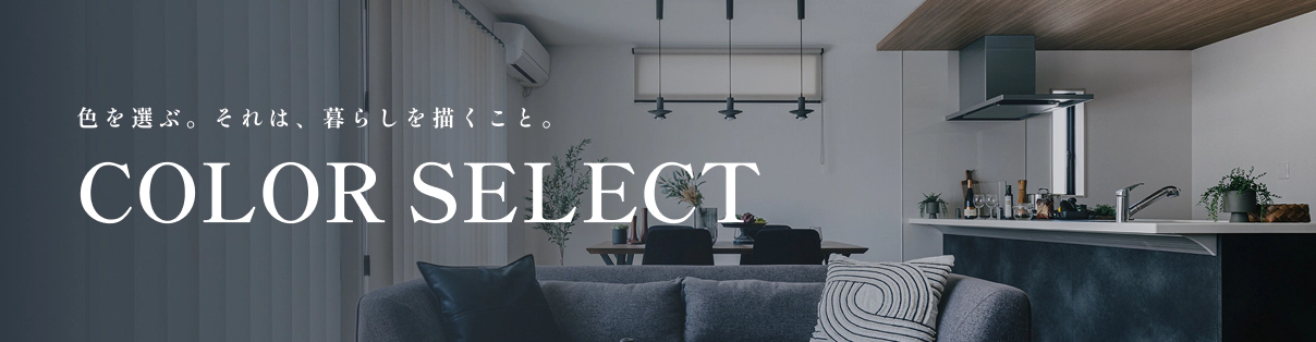 COLOR SELECT
