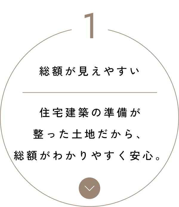MERIT 1