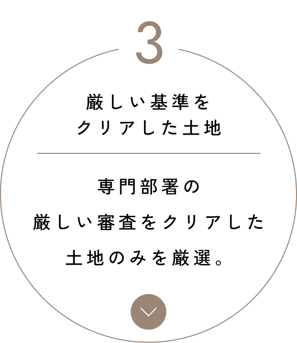 MERIT 1